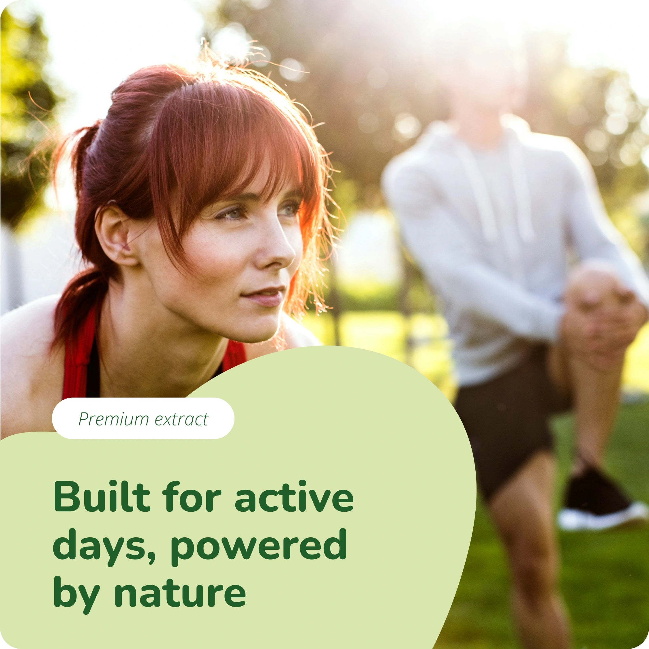 Tribulus Terrestris Extract Capsules