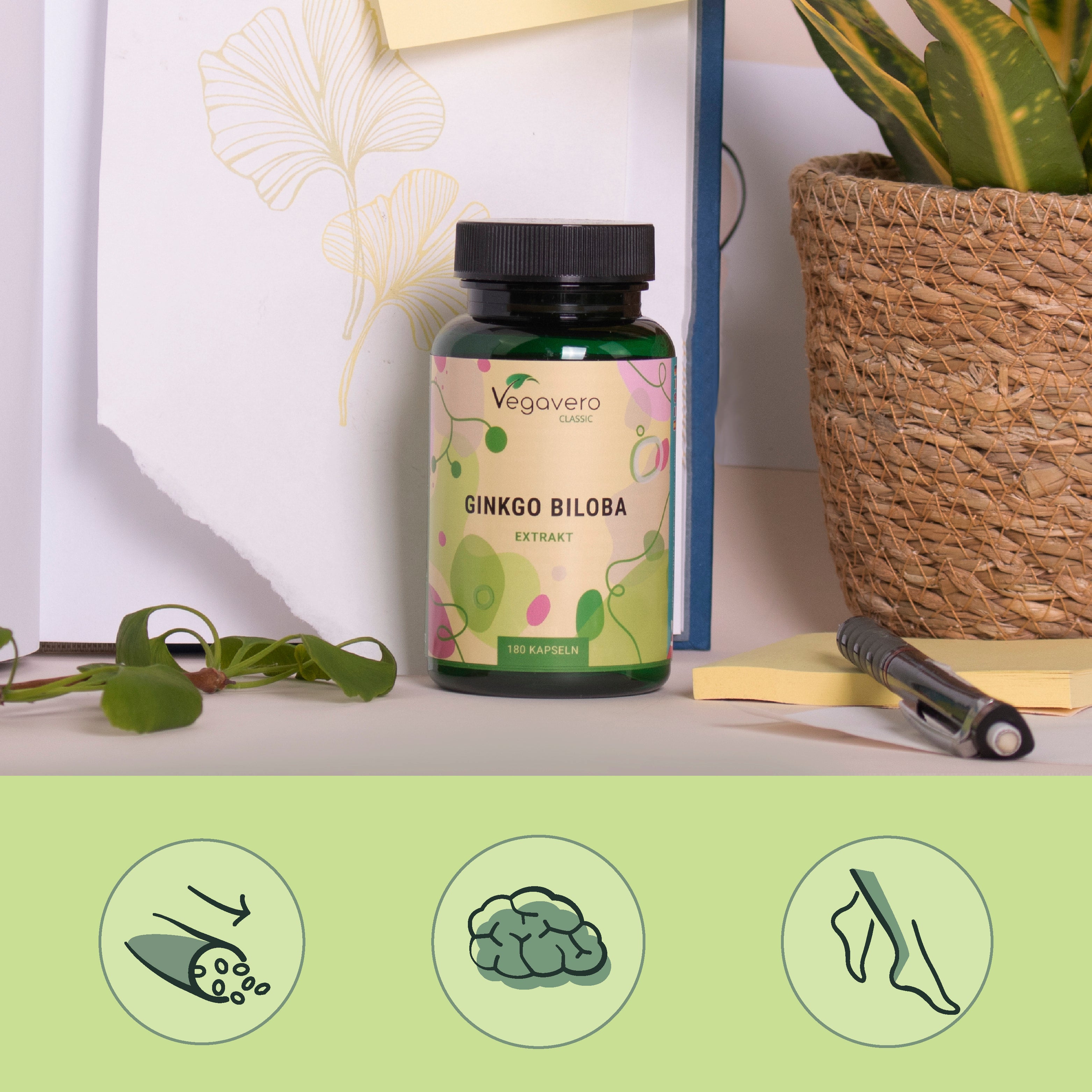 Ginkgo Biloba Extrakt Kapseln
