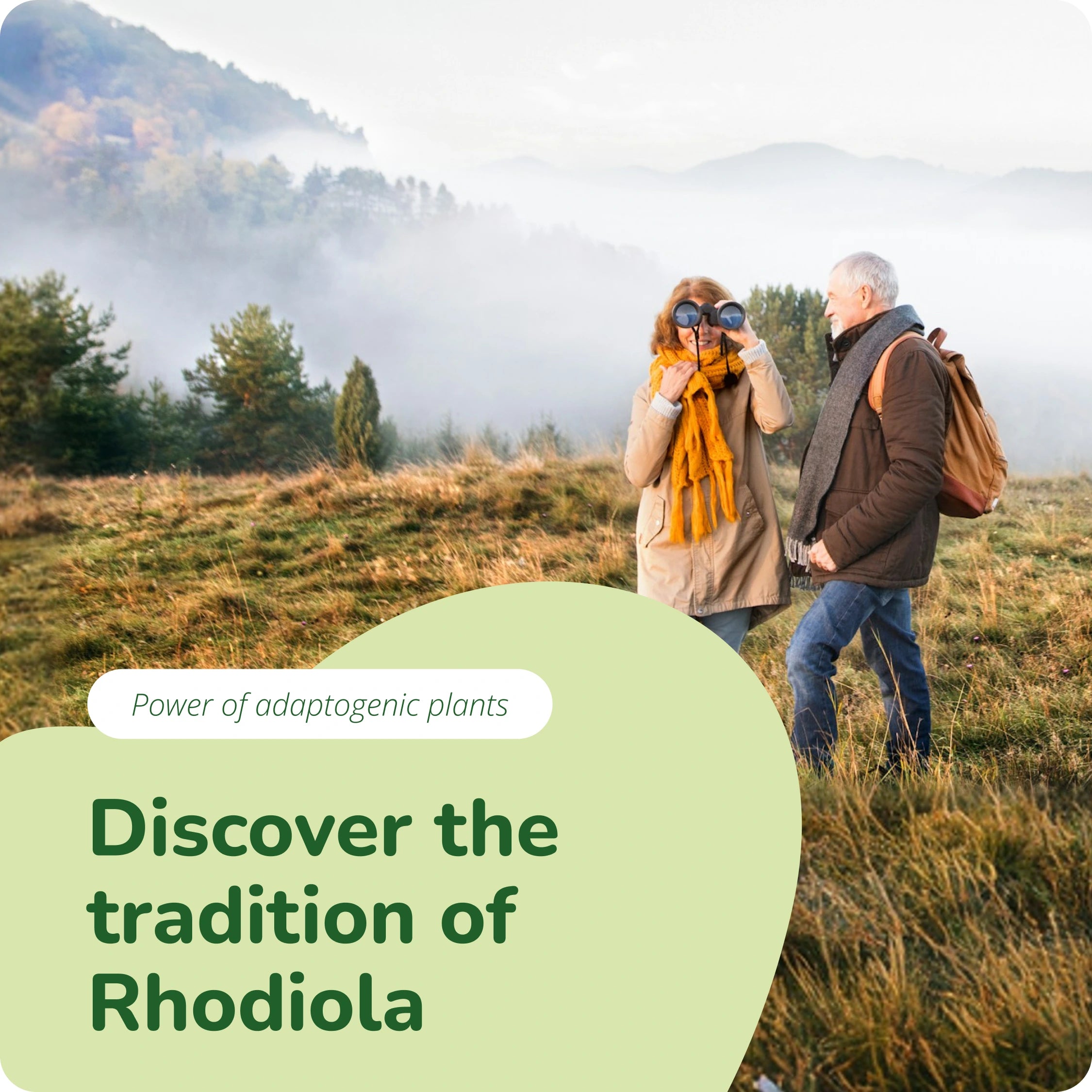 Rhodiola Rosea Extract Capsules