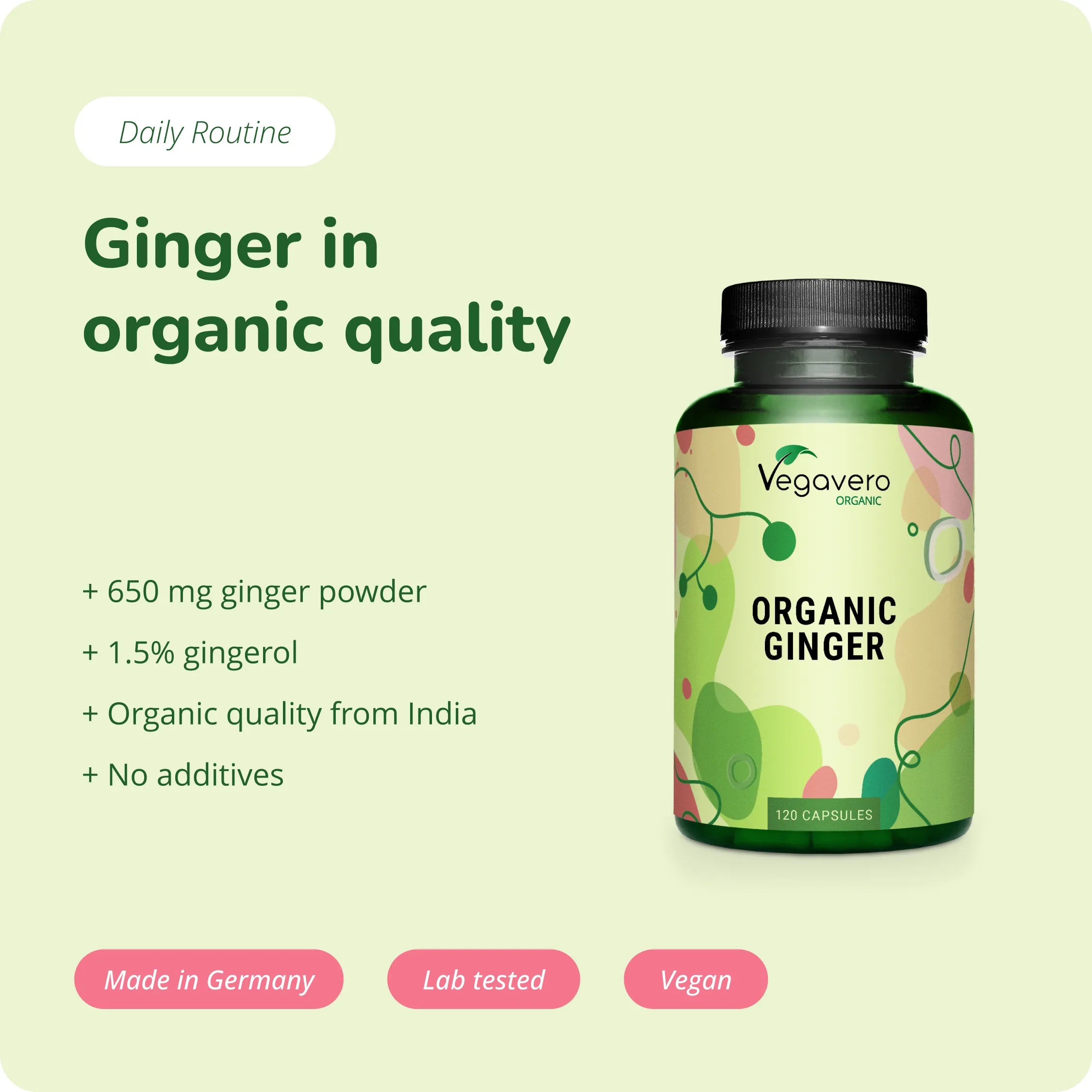 Ingwer Kapseln Bio