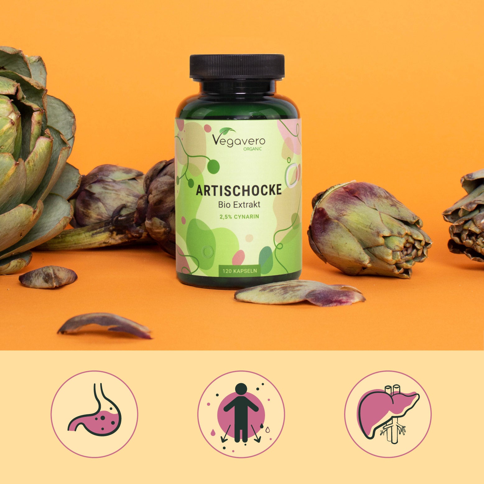 Artischocken Extrakt Kapseln Bio
