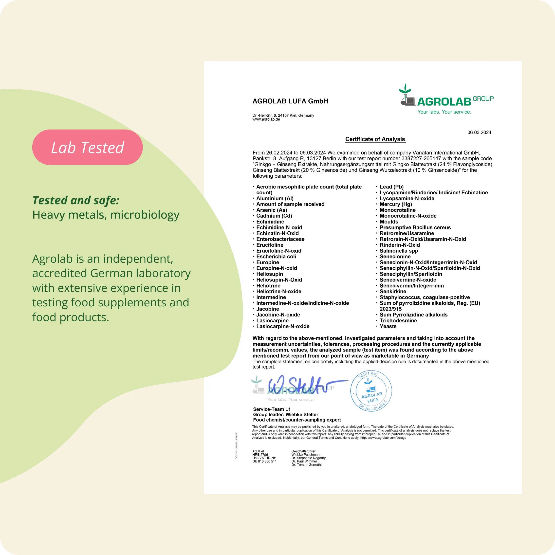 Ginkgo + Ginseng Extrakt Kapseln