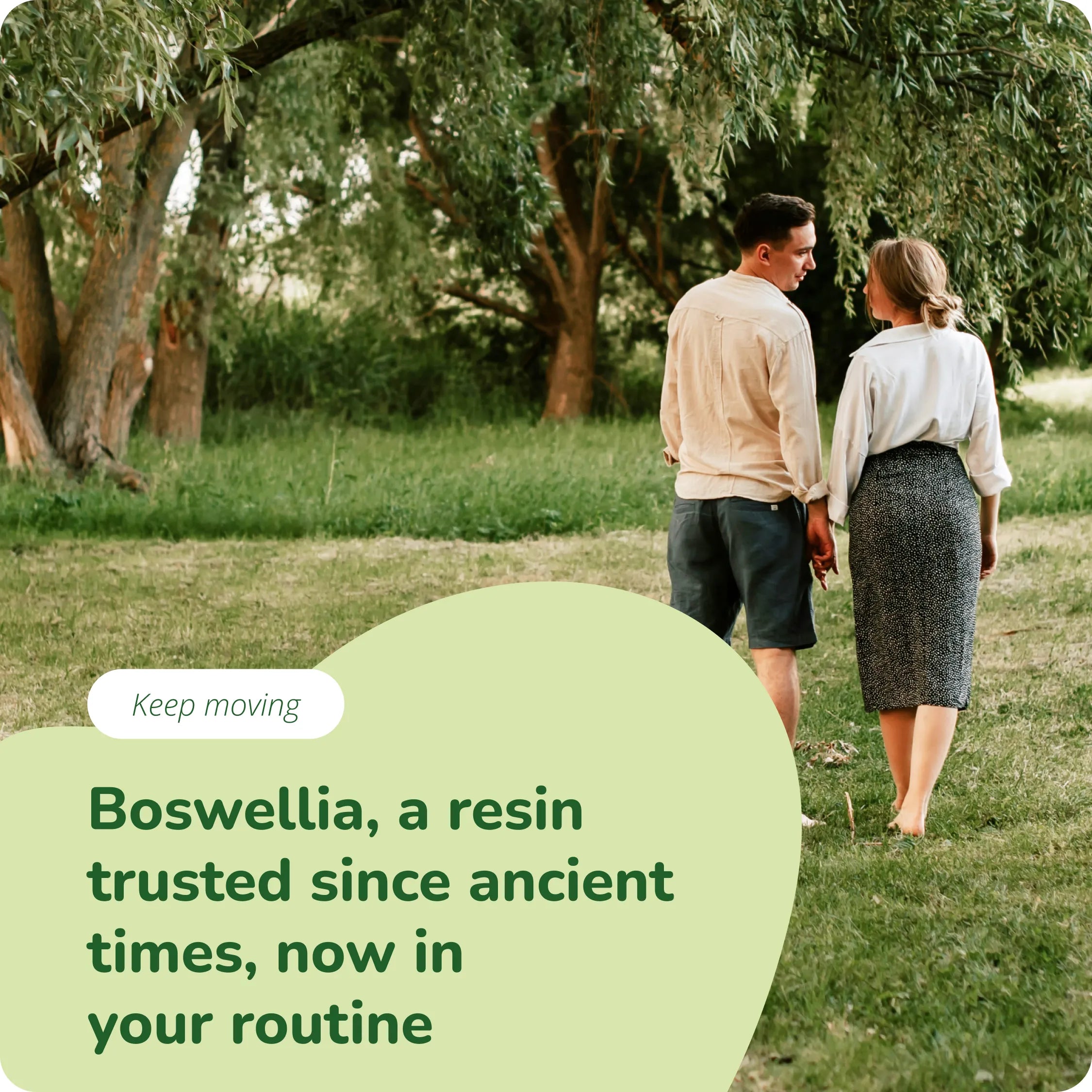 Boswellia Extrakt Kapseln