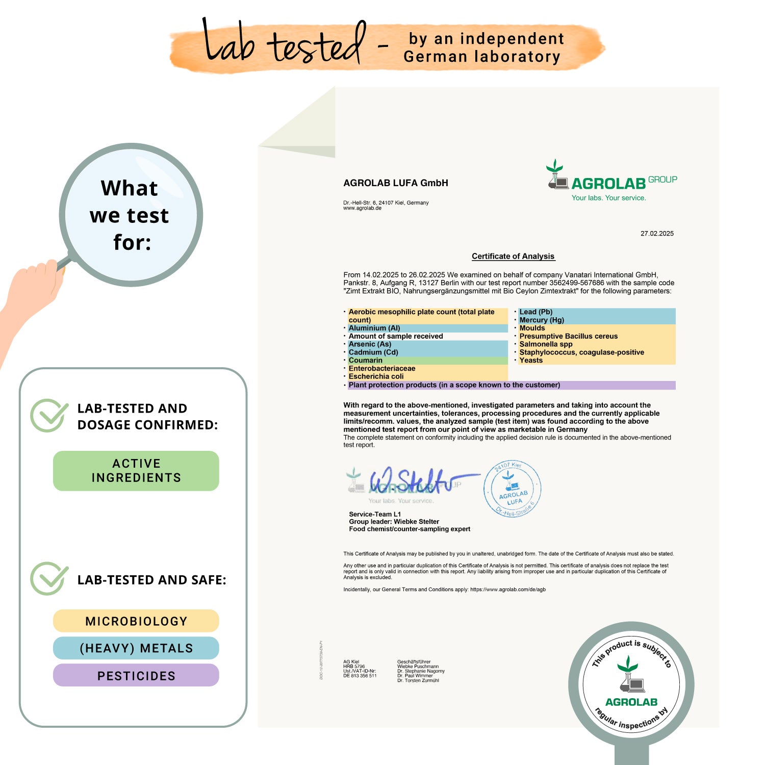 Ceylon Cinnamon Extract Capsules Organic