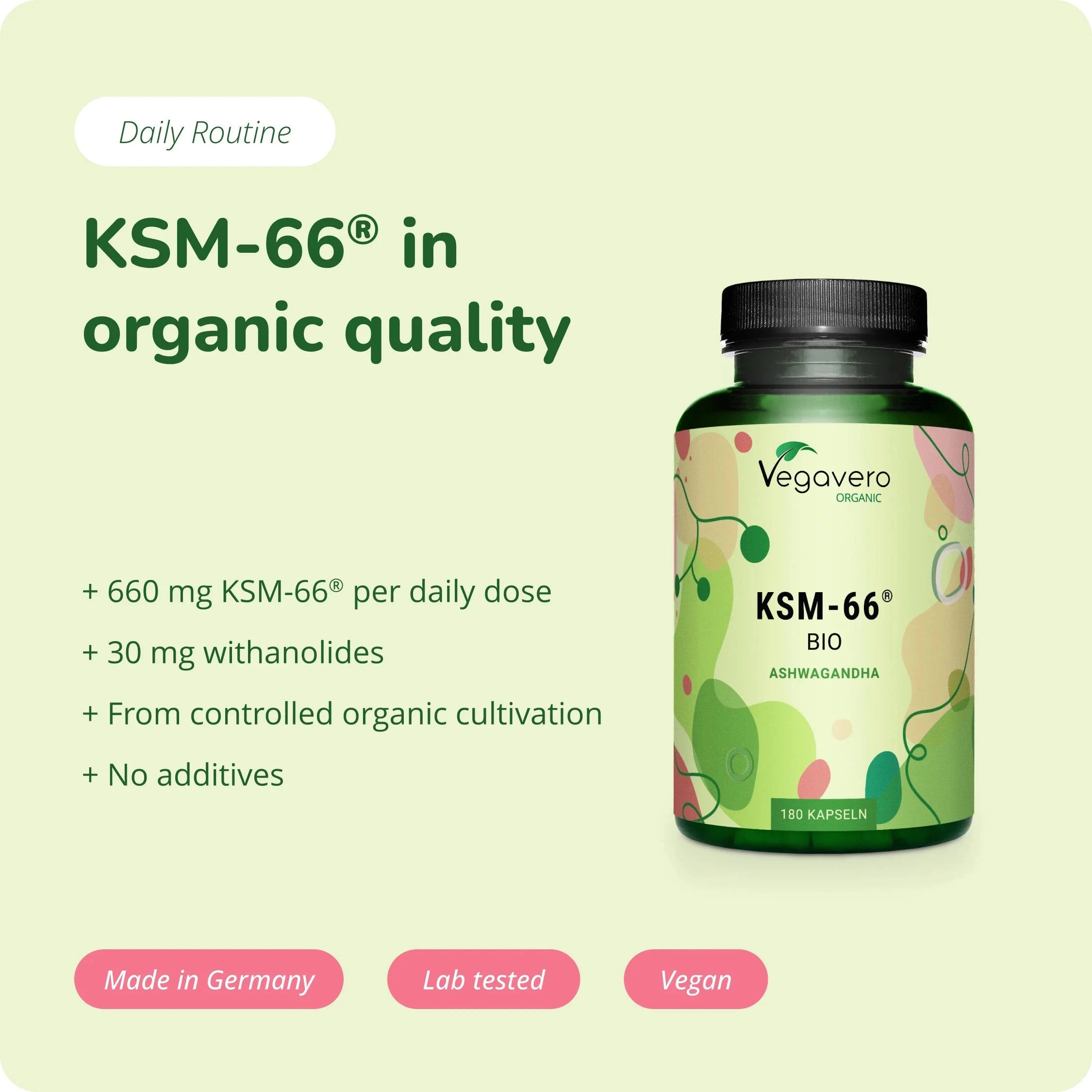 Ashwagandha KSM-66 Extracto Cápsulas Orgánico