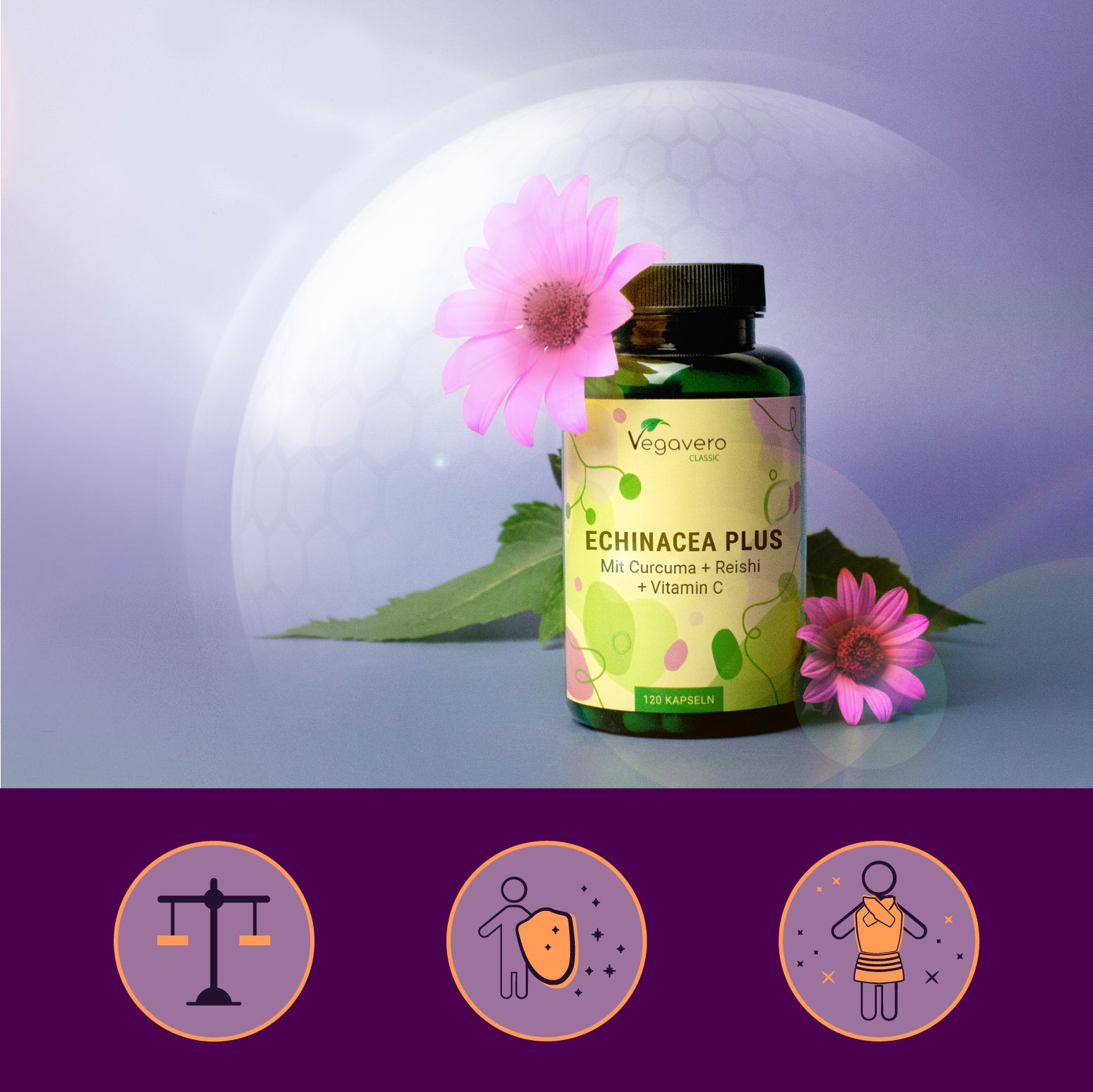 Echinacea Plus Cápsulas