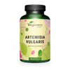 Mugwort Extract Capsules