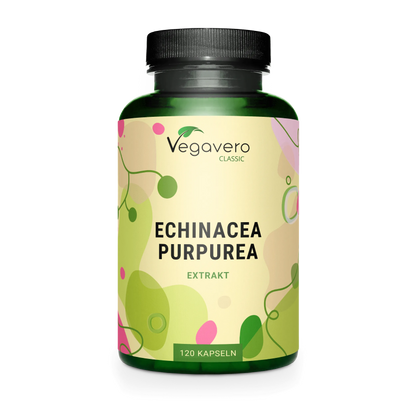 Echinacea Purpurea Extrakt Kapseln
