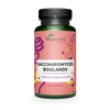 Saccharomyces Boulardii Capsules