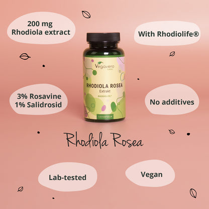 Rhodiola Rosea Extrakt Kapseln