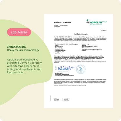 Rhodiola Rosea Extract Capsules