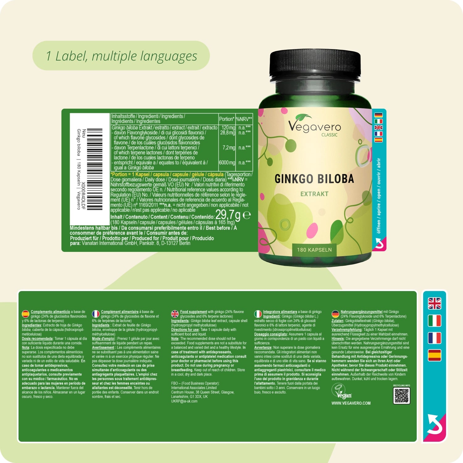 Ginkgo Biloba Extract Capsules