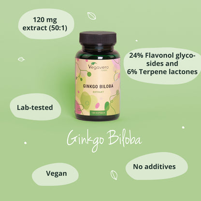 Ginkgo Biloba Extrakt Kapseln
