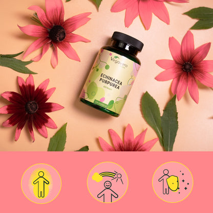 Echinacea Purpurea Extrakt Kapseln