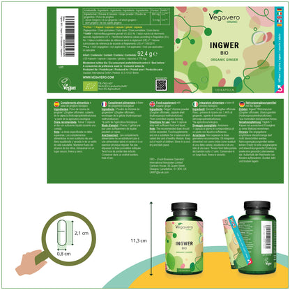 Ingwer Kapseln Bio