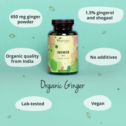 Ingwer Kapseln Bio