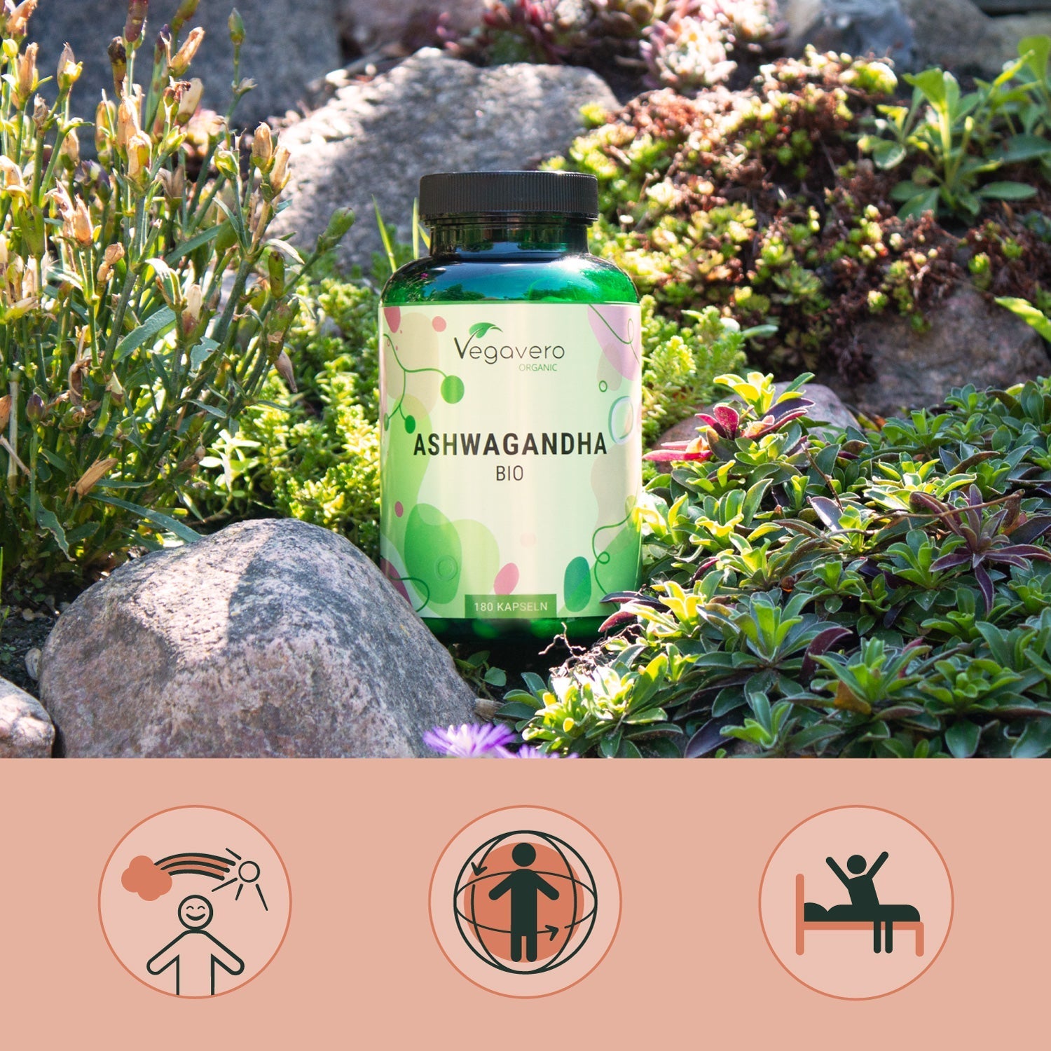 Ashwagandha Capsule Bio