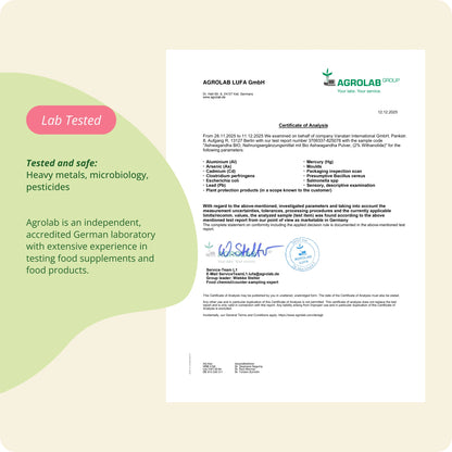 Ashwagandha Kapseln Bio