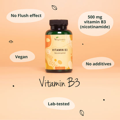 Vitamin B3 (Nicotinamid) Kapseln