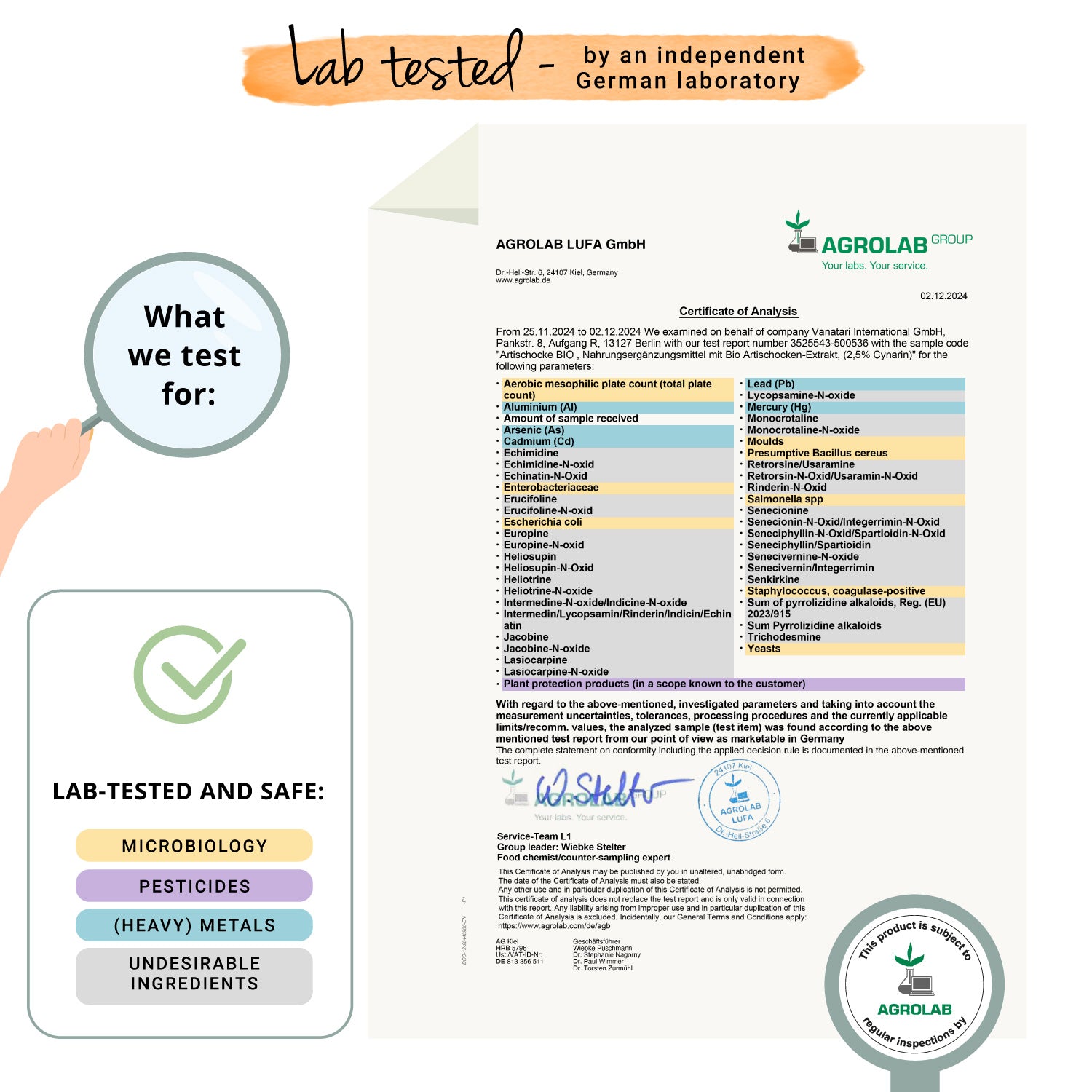 Artischocken Extrakt Kapseln Bio