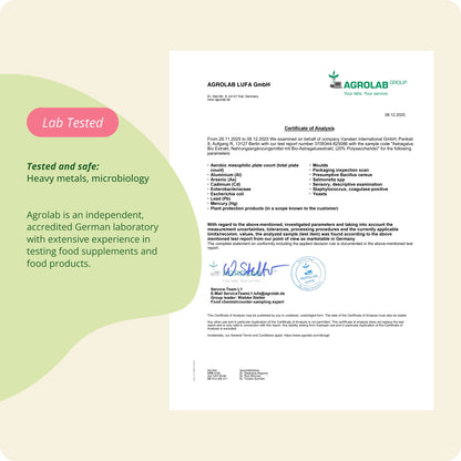 Astragalus Extract Capsules Organic