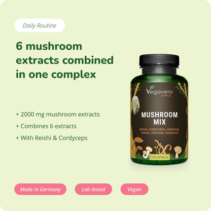 Mushroom Mix Complex Cápsulas