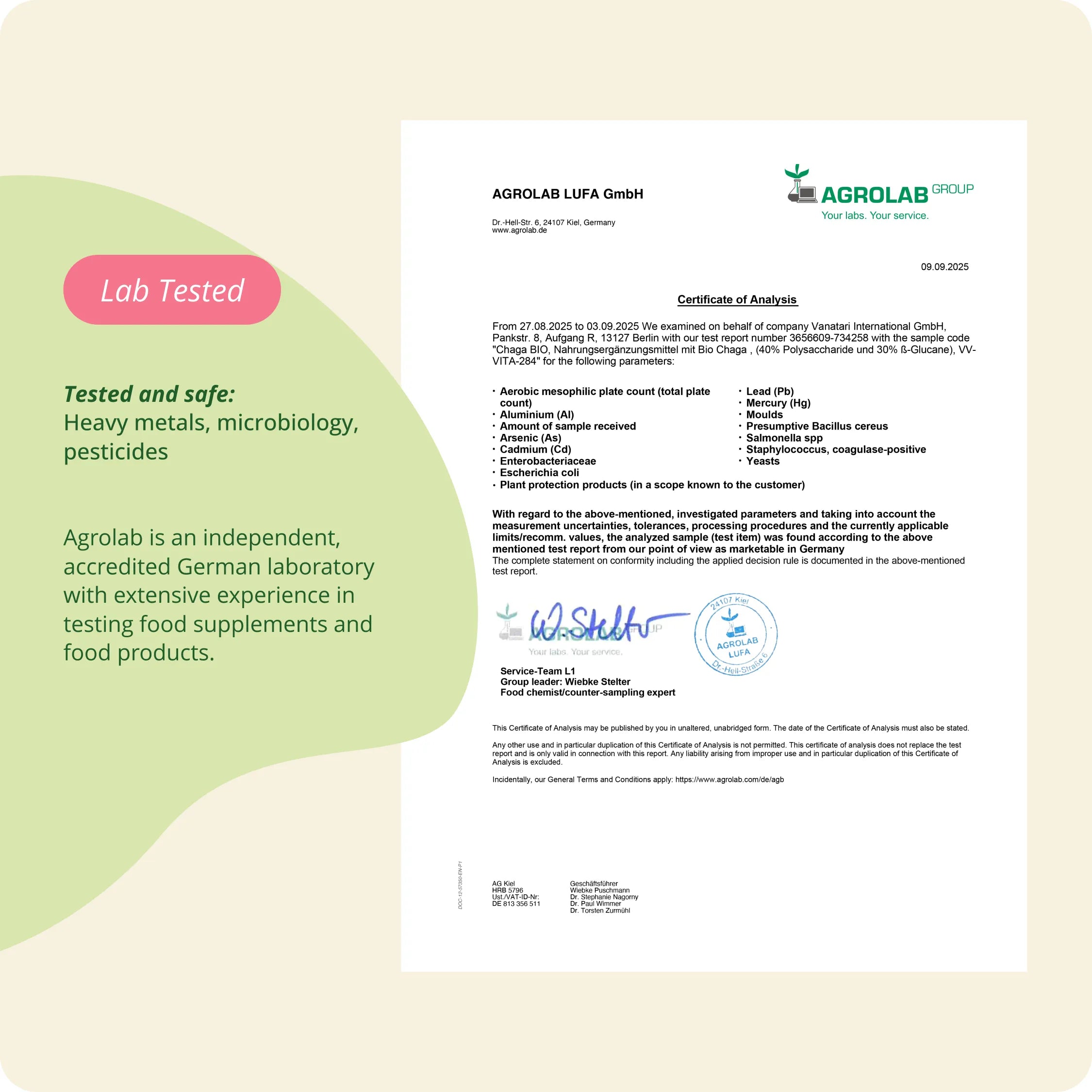 Chaga Extracto Cápsulas Orgánico