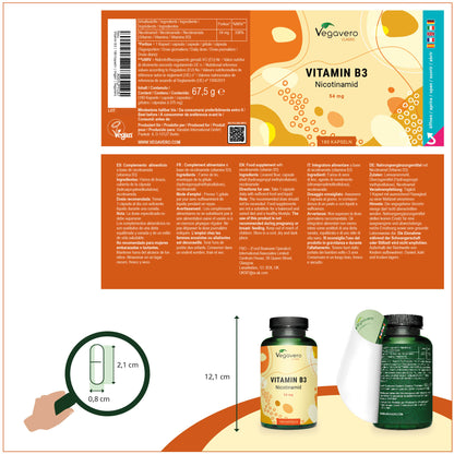 Vitamin B3 Kapseln