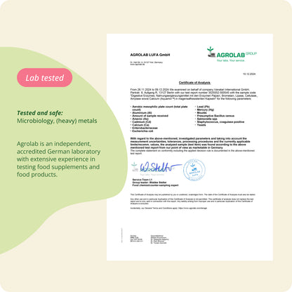Digestive Enzymes Complex Capsules