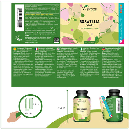 Boswellia Extrakt Kapseln
