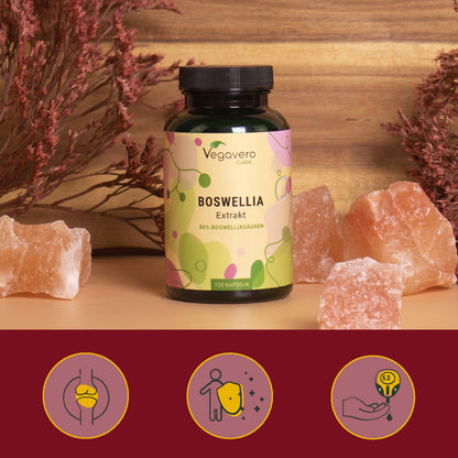 Boswellia Extrakt Kapseln
