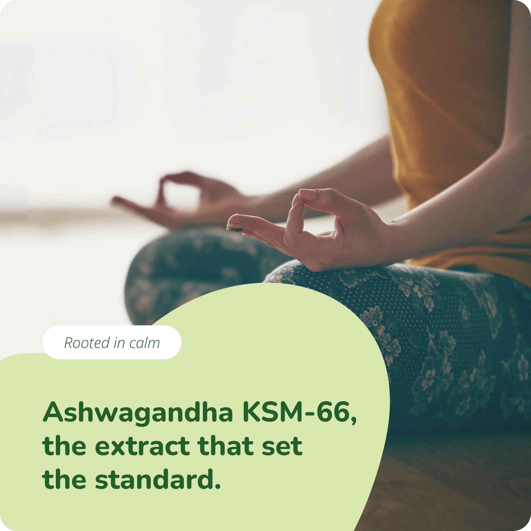 Ashwagandha KSM-66 Estratto Capsule Bio