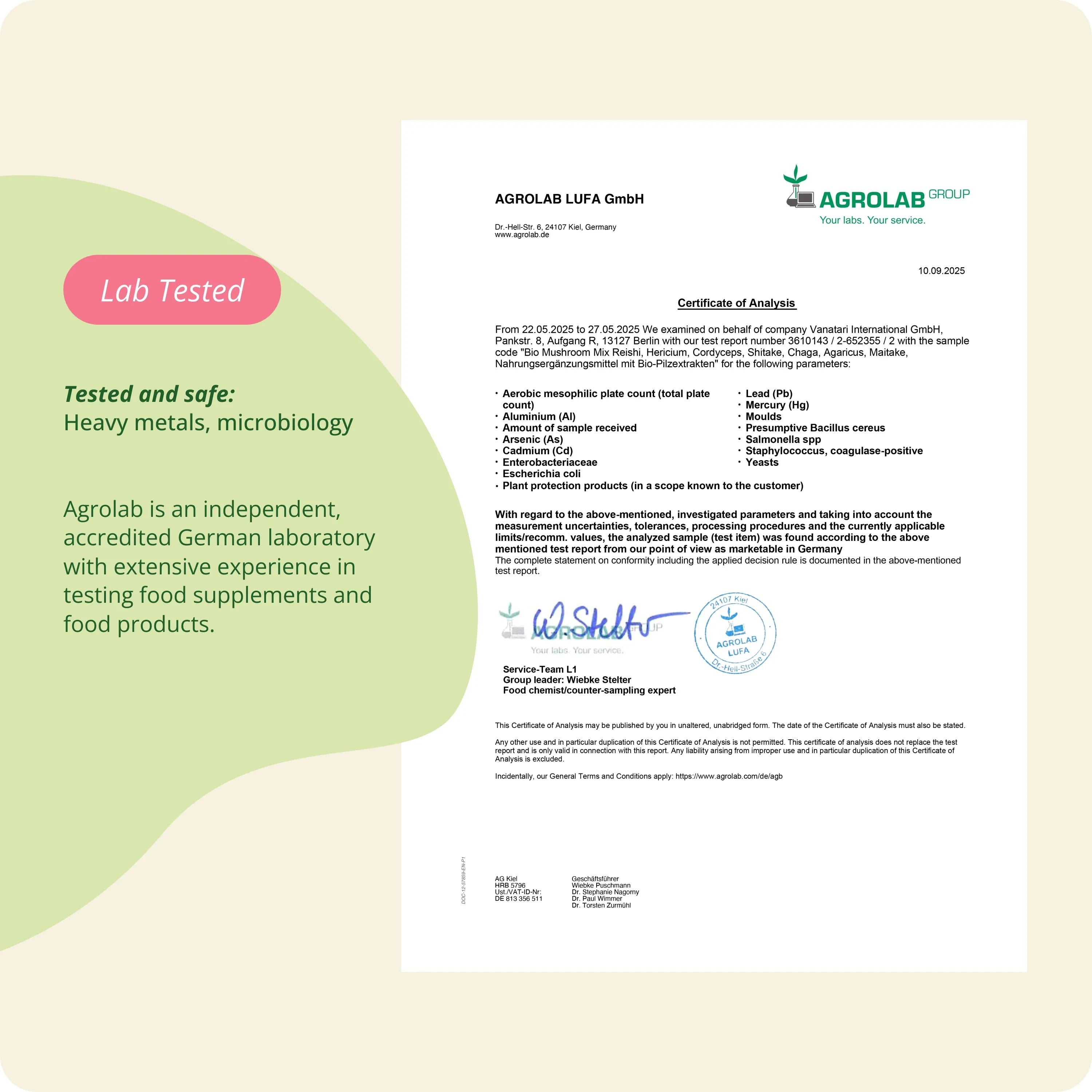 Mushroom Complex Kapseln Bio