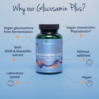Glucosamine Plus Capsules