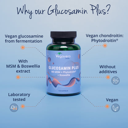 Glucosamin Plus Kapseln