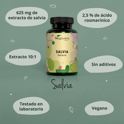 Salvia Extracto Cápsulas