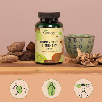 Cordyceps Sinensis Extrakt Kapseln