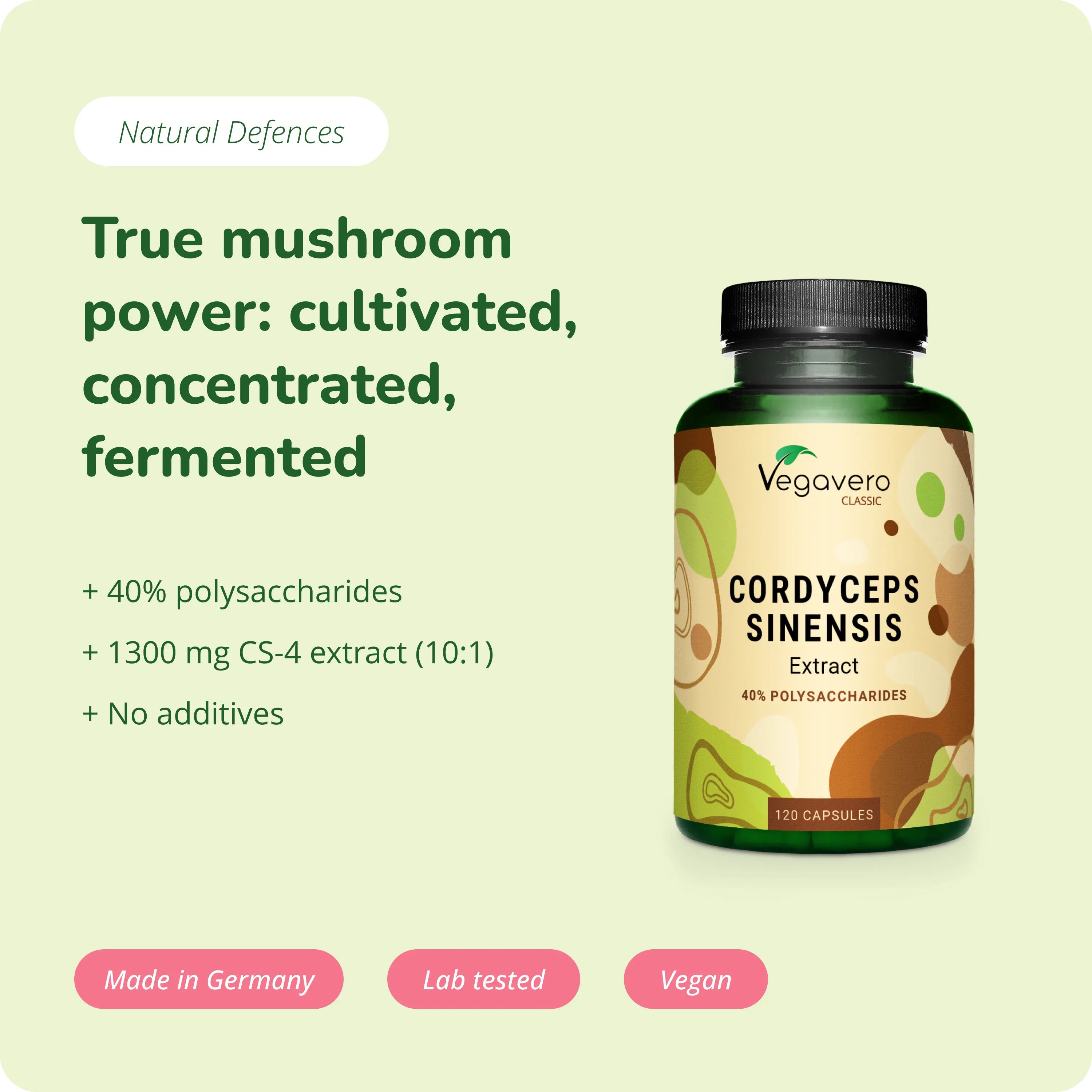 Cordyceps Sinensis Extrakt Kapseln